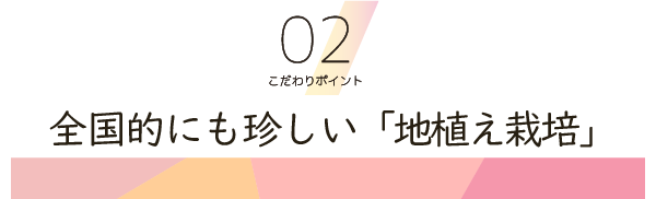 こだわりポイント2　全国的にも珍しい「地植え栽培」